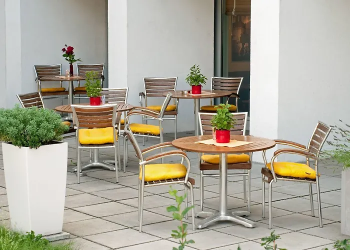 Ibis 3*